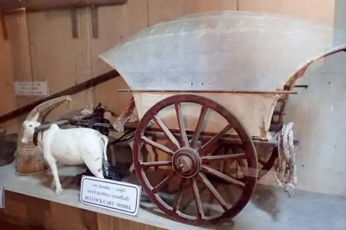 Jaffna Archaeological Museum 3